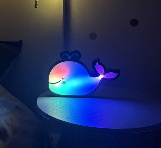 Walvis Nachtlampje